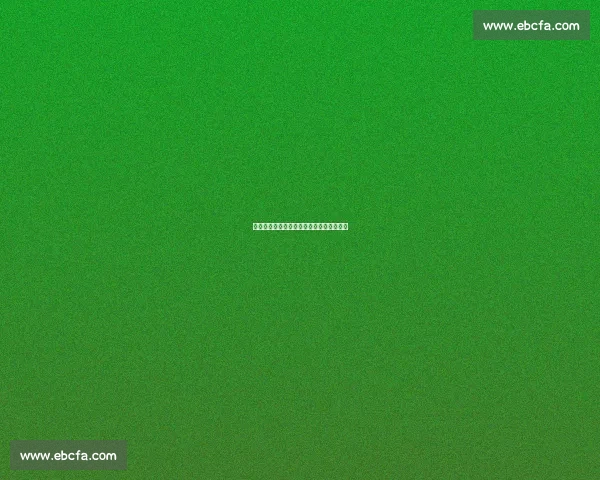 萨利巴季前赛：蜕变与隐忧并存的后防核心