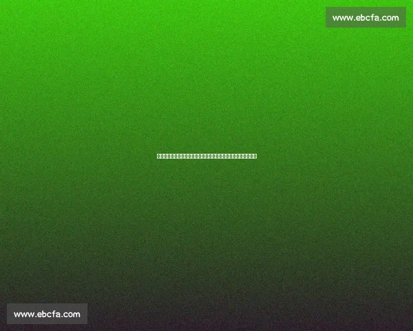 布罗纳对决麦达纳引爆拳坛风暴的速度力量巅峰之战经典传奇碰撞