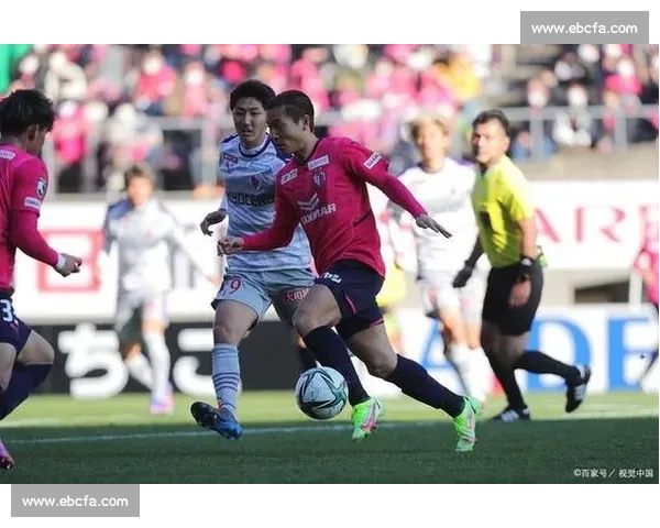 熊本深红主场迎战名古屋鲸 八强争夺悬念拉满之夜关键战役焦点对决全面解析
