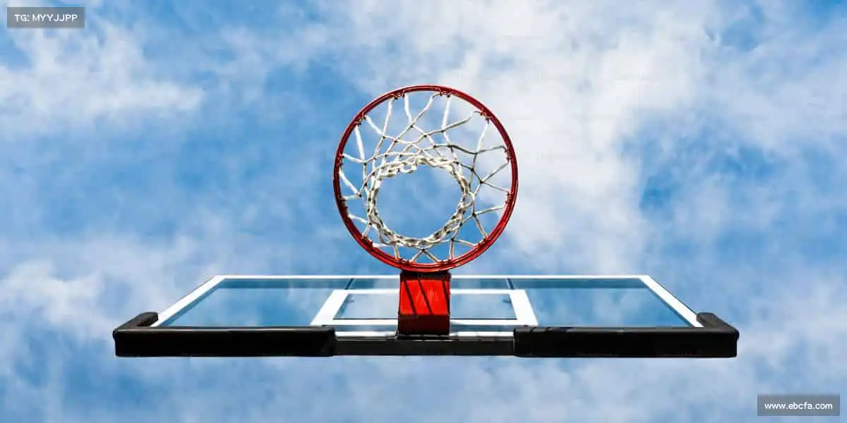 行业领先的理由